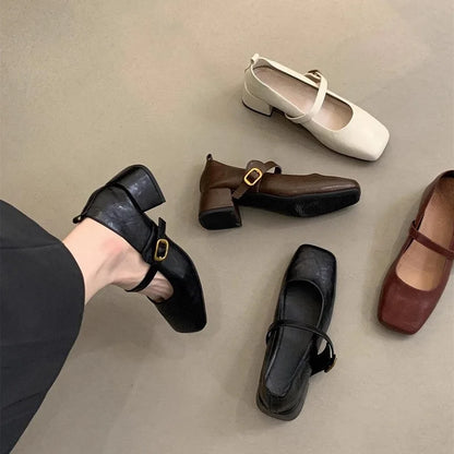 French Retro Square Toe Mid-Heel Chunky Mary Jane Shoes for Women – Spring/Fall Fashionable Leather Flats with Great Quality