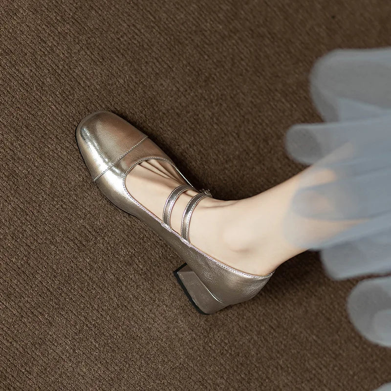 Retro Silver Mary Jane Shoes for Women – Stylish Spring Autumn Mid Heels with One-Buckle Design